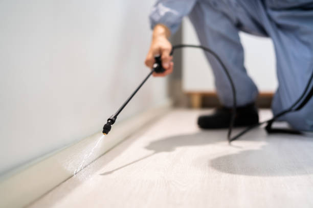 Licensed Termite Control service in Carroll County County, IA - Nex Pest Control