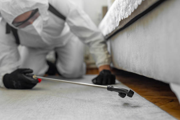 Professional Termite Control technician working in Carroll County County, IA